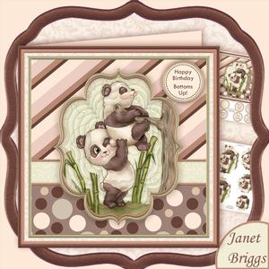 Bottoms Up 8x8 Humorous All Occasions Mini Kit