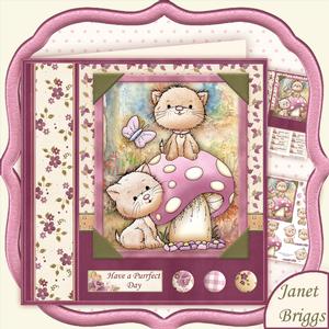 King of the Castle 8x8 Mini Kit