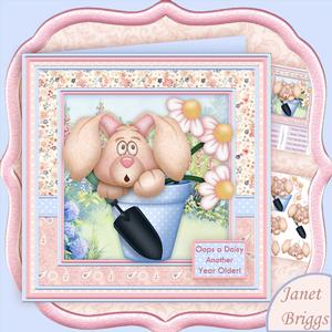 Oops a Daisy Another Year Older 8x8 Mini Kit & Decoupage