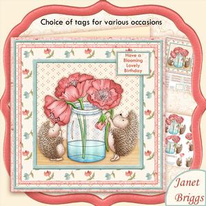 Blooming Lovely Hedgehogs Poppies Birthday Get Well Mini Kit