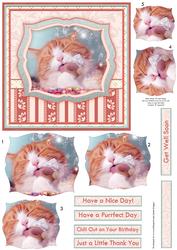 Have a Nice Day Cat & Ice Cream 6x6 Card Front & Pyramage