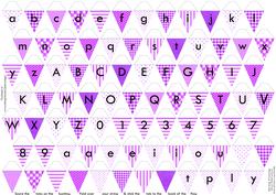 Alphabet Bunting Purple Letters Numbers & Blanks
