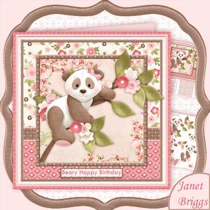 Beary Special Panda Female Birthday or Get Well Mini Kit
