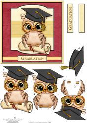 Graduation Owl Card Topper & Decoupage