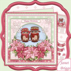 Christmas Owls & Poinsettia 8x8 Decoupage Mini Kit