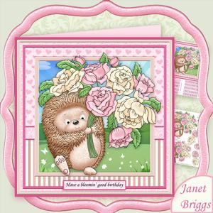 Flowery Hedgehog Valentine Birthday Get Well Mini Kit