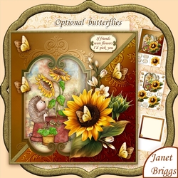 Hedghogs Sunflower Friend 8x8 Decoupage Mini Kit