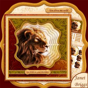 Lion Head Portrait 7.5 Pyramage Mini Kit