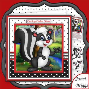 Getting Older Stinks 8x8 Humorous Skunk Decoupage Mini Kit