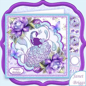 Stylized Peacock 8x8 All Occasions Decoupage Mini Kit