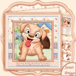 BARKING MAD 8x8 Humorous Birthday Decoupage Mini Kit