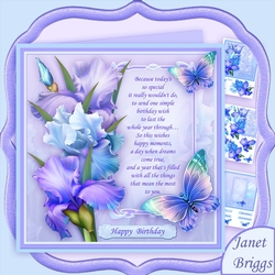 BLUSH OF IRIS & BIRTHDAY VERSE BLUE 7.8 Decoupage Mini Kit
