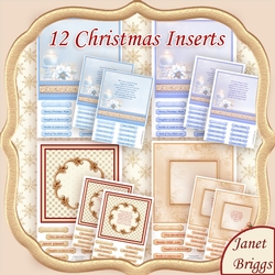 HOLLY RIBBON & FROSTED FLORALS Christmas Inserts Bumper Kit