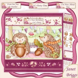 HEDGEHOGS BIRTHDAY PARTY 7.5 Decoupage & Insert Kit