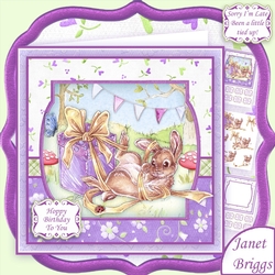 A LITTLE TIED UP 7.5 Birthday Decoupage & Insert Mini Kit