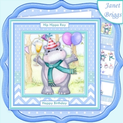 HIP HIPPO RAY ITS YOUR BIRTHDAY 8x8 Decoupage & Insert Mini Kit