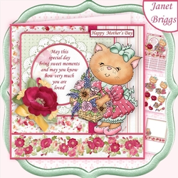 FLOWER BASKET KITTY 7.5 Decoupage & Insert Mini Kit Various Occasions