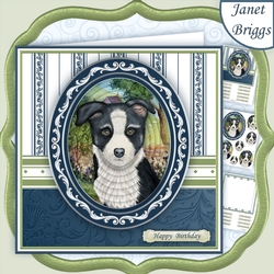 BORDER COLLIE PUPPY 7.5 Pyramage & Insert Mini Kit