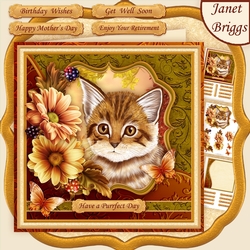 KITTEN & FLORAL 7.5 Decoupage & Insert Mini Kit All Occasions