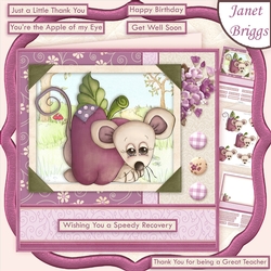 APPLE OF MY EYE Get Well Thank You etc 8x8 Decoupage & Insert Mini Kit