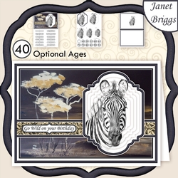 PORTRAIT OF A ZEBRA A5 Pyramage Ages & Insert Mini Kit