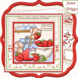 STRAWBERRY TEA 8x8 Jam Making Decoupage & Insert Mini Kit