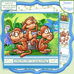 3 WISE MONKEYS OMG HOW OLD 7.5 Humorous Decoupage Mini Kit