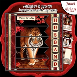TIGER 7.5 Alphabet and Age Quick Card Kit Create Any Name