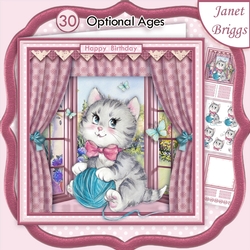 KITTEN IN WINDOW 8x8 Decoupage & Insert Mini Kit