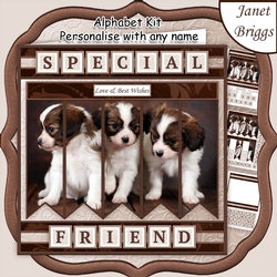 PUPPIES 7.5 Alphabet and Age Quick Card Kit Create Any Name