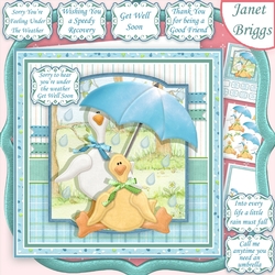 DUCKS UNDER THE WEATHER Get Well Birthday or Supportive 7.5 Decoupage Mini Kit
