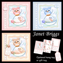 WHOO HOO NEW BABY 7.5 Decoupage & Inserts Bumper Kit