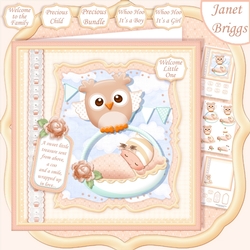 WHOO HOO ITS A BOY or GIRL New Baby 7.5 Decoupage & Insert Mini Kit