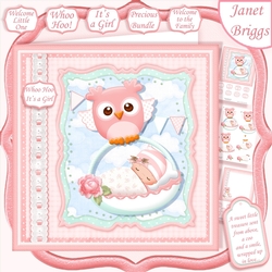 WHOO HOO ITS A GIRL New Baby 7.5 Decoupage & Insert Mini Kit