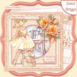CLASSY & FABULOUS PEACH 7.5 Decoupage & Insert Mini Kit