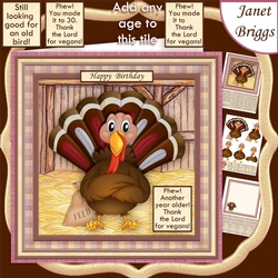 THANK THE LORD FOR VEGANS Humorous 7.5 Decoupage & Insert Mini Kit