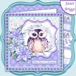 WINTER OWL & POINSETTIA 7.5 Christmas Decoupage & Insert Mini Kit