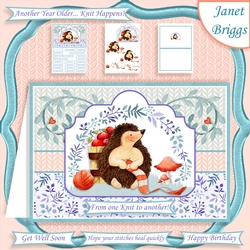HUMOROUS HEDGEHOG KNITTING A5 Card Topper Decoupage & Insert Mini Kit