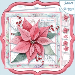 CHRISTMAS POINSETTIA & BERRIES 7.5 Large Decoupage & Insert Kit