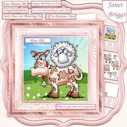 EWE MOOVE ME Humorous 7.5 Decoupage & Insert All Occasions