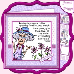 STELLA on RAISING TEENAGERS 7.5 Humorous Decoupage & Insert Mini Kit