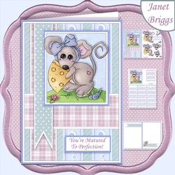 MATURED TO PERFECTION Humorous A5 Decoupage & Insert