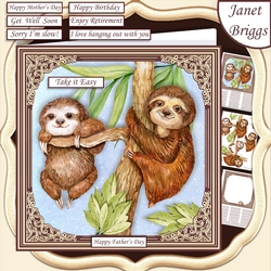 SLOTHS JUST CHILLIN 7.5 Decoupage & Insert Kit All Occasions