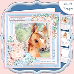 pony foal 7.5 Decoupage & Insert Kit