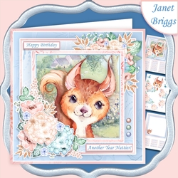 SQUIRREL ANOTHER YEAR NUTTIER 7.5 Decoupage & Insert Kit