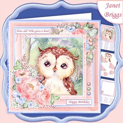 OWL HOW OLD WHO GIVES A HOOT 7.5 Decoupage & Insert Kit