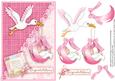 New Baby Girl & Stork Topper and Decoupage