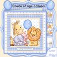 Animal Crew Baby Boy or Birthday Mini Kit with Ages
