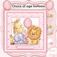 Animal Crew Baby Girl or Birthday Mini Kit with Ages