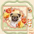 Pug & Summer Roses 8x8 Decoupage Mini Kit